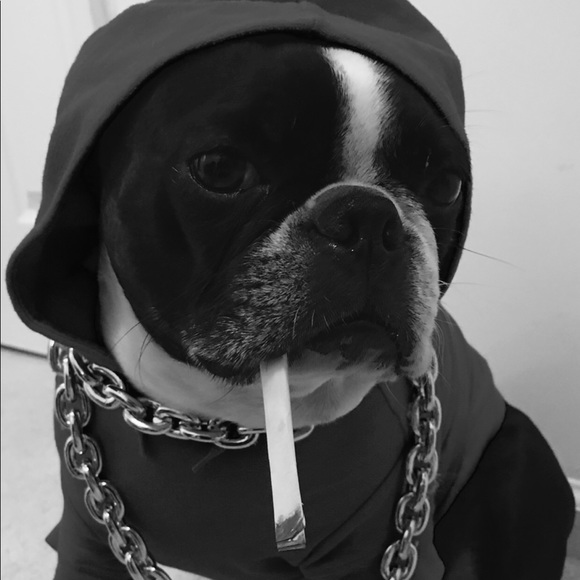 Thank you for shopping with me! Offers welcome! - Picture 4 of 16